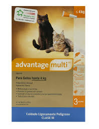Advantage Multi Gato <4kg