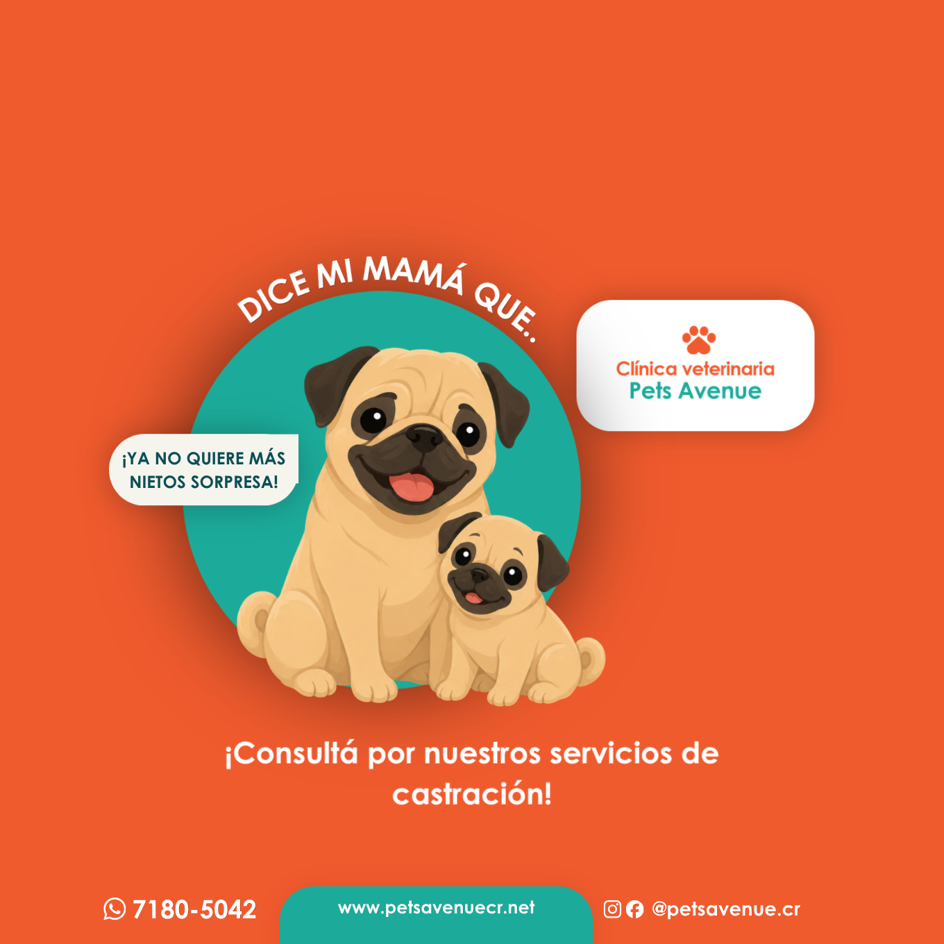 Avenue Mandarine Cicák és érzelmek memória játék Avenue Mandarine Cicák és érzelmek memória játék