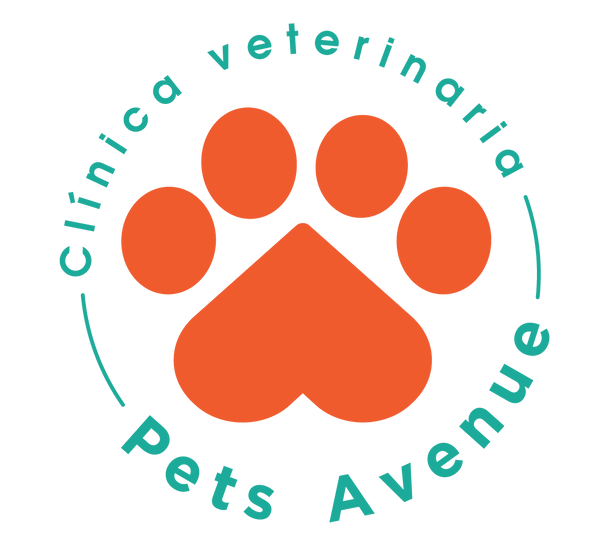 Pets Avenue Costa Rica 