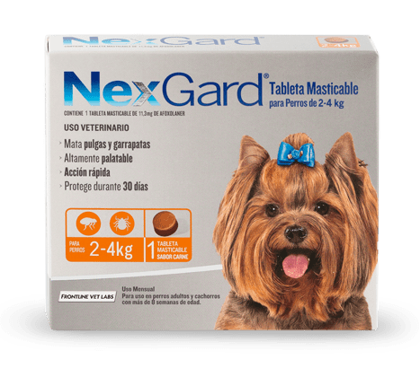 Nexgard 2-4 Kg